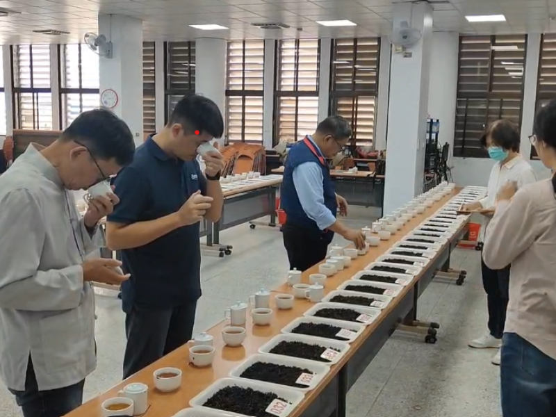 「蜜香紅茶之鄉」舞鶴台地 年度茶業盛事「有機蜜紅茶評鑑」昨舉行